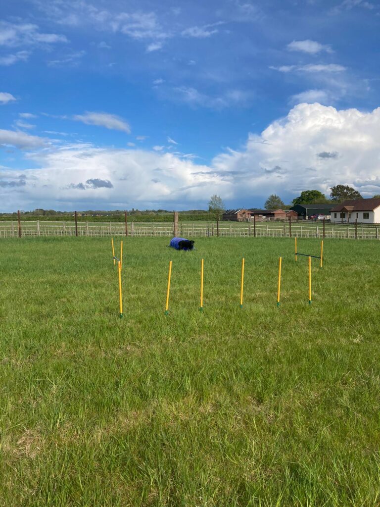 1878 f96542fcad5d42f3795a25b32baad2cb 1 768x1024