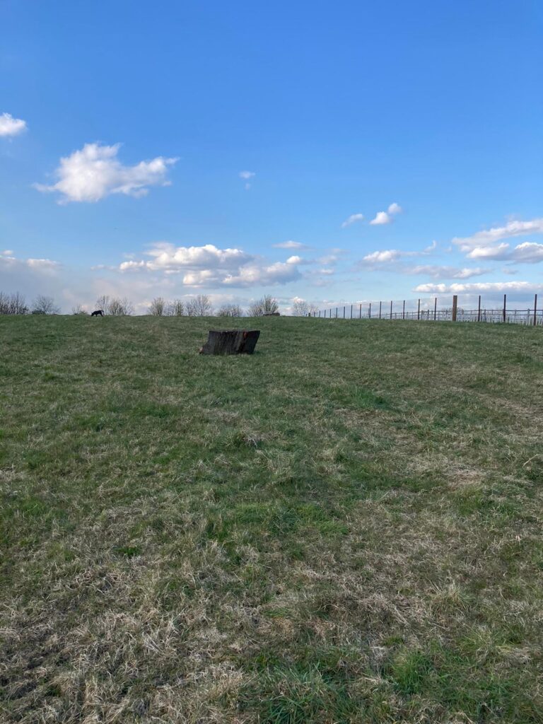 1878 febaa8f6f187d6394029b22687e144e8 1 768x1024