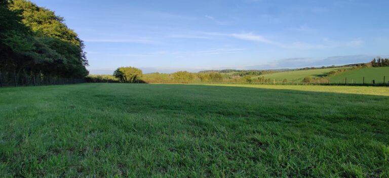 1881 1a59c3025f1eaa301db0aa322d47092f 1 768x352