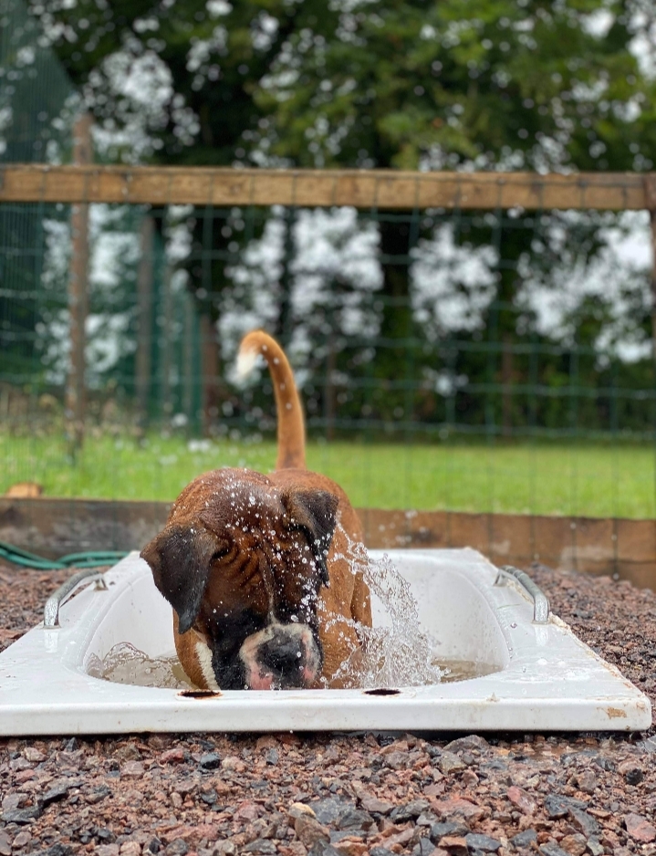 1881 8f89b0fd0ca4bc49503a706d2f795cbf 1