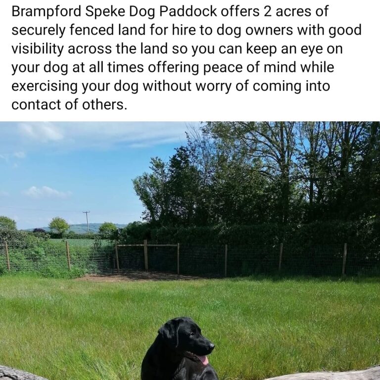 1885 86330c6412b4f53e817cf9523c477520 1 768x768