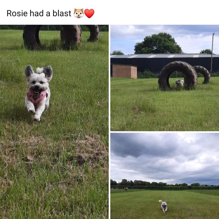 1885 a456e6e8384f0e47e9a0a12ec57b33d2 1 768x768