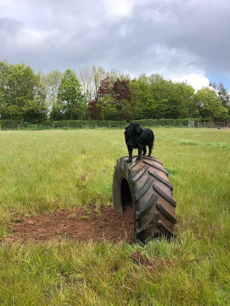 1885 e878fbd0da07bf458395b65bb9451042 1