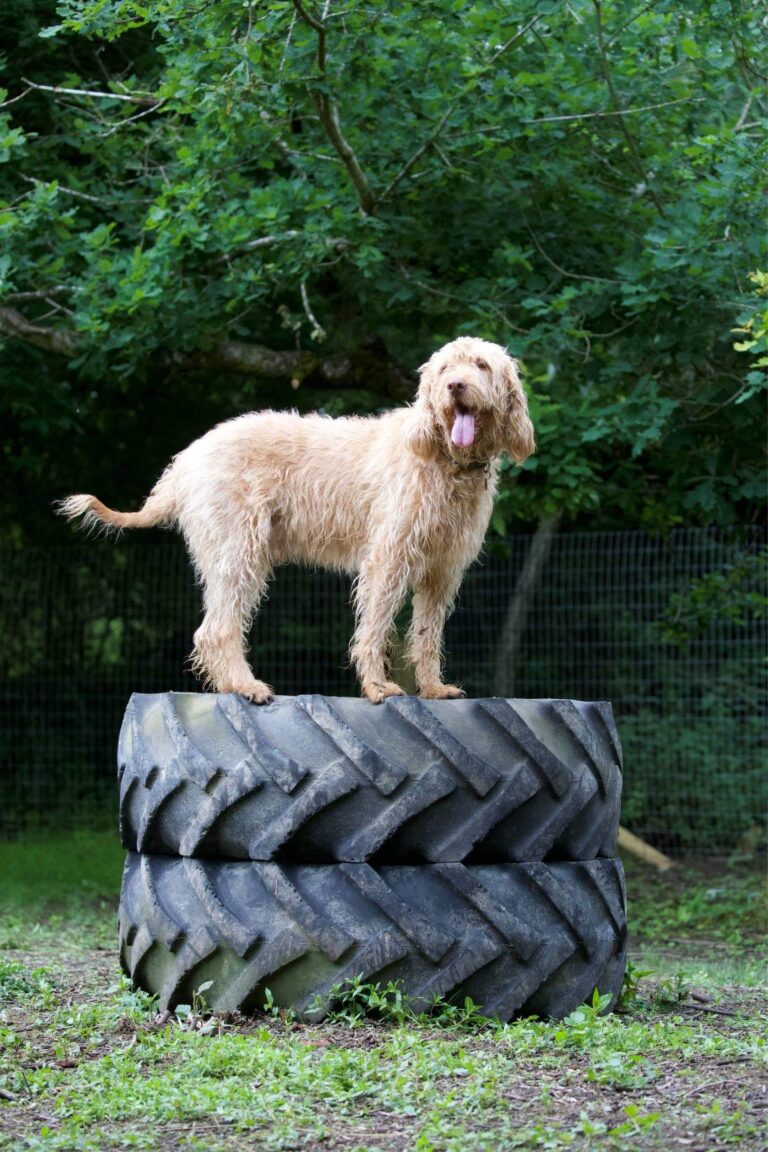 1890 30c1b6f0db3d485501ac14c9fdb6e79a 1 768x1152