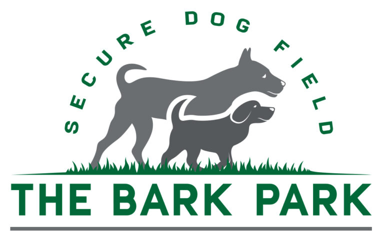 1890 377fbfda595043b89c4b292cf3aac4aa 1 768x487