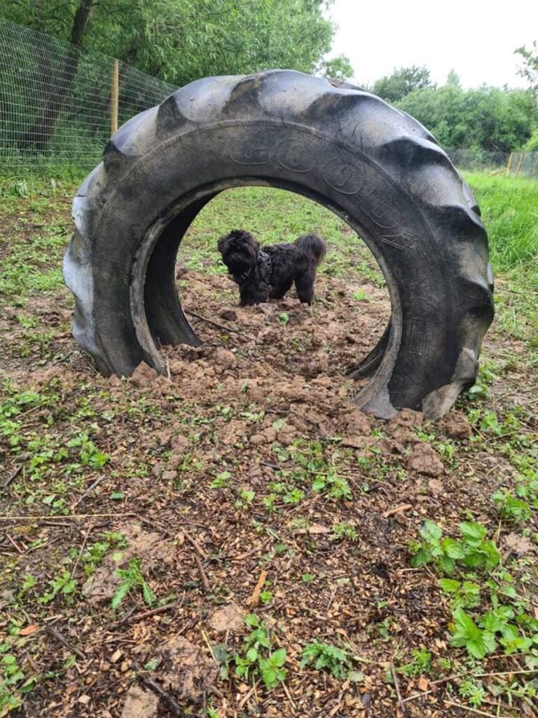 1890 3fae3bed8b04a932fe7678ce71fd53a6 1 768x1024