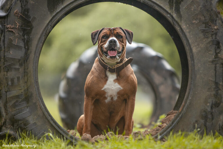 1890 42607320c8a8afa56692a92d77cd0049 1 768x512