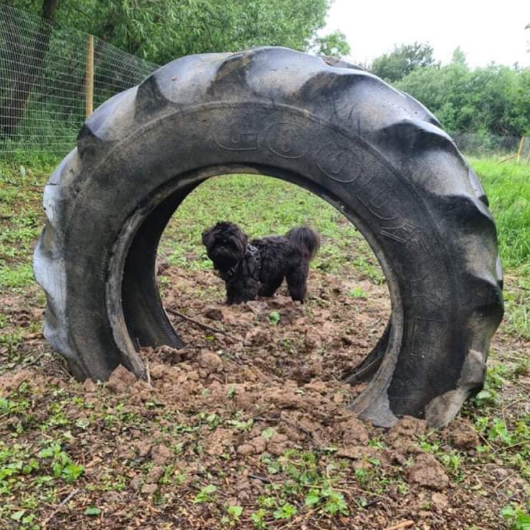 1890 55d592bdcde045f5a995fdd43035e7c8 1 768x768