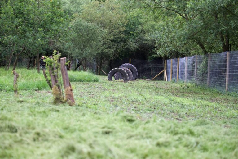 1890 89587d5c8442c208eb807f9a0be81ab4 1 768x512