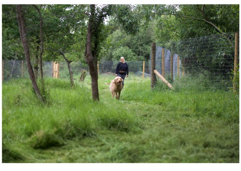 1890 a3c0df4ab523e98282e512cf5510ba48 1 768x543