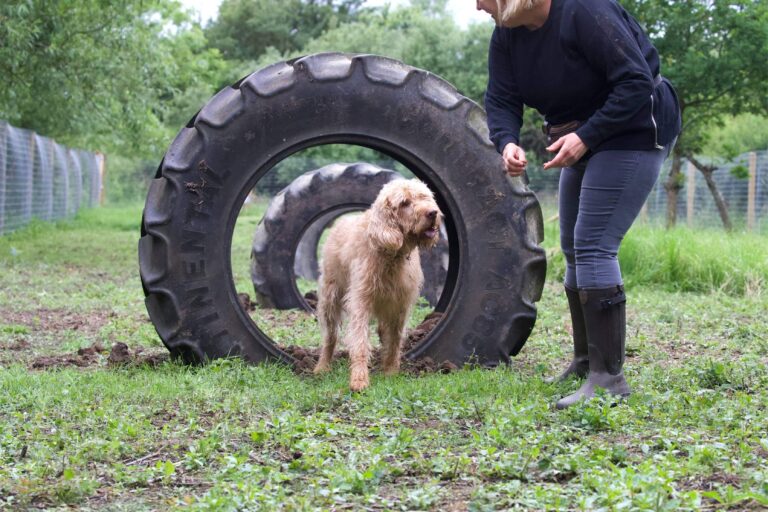 1890 ba9a2649158b96fbecf1f8a9ca981373 1 768x512