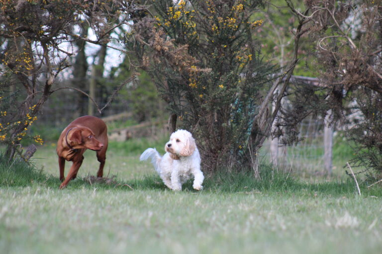 1893 54aef5333653563621393f34732473ef 1 768x512