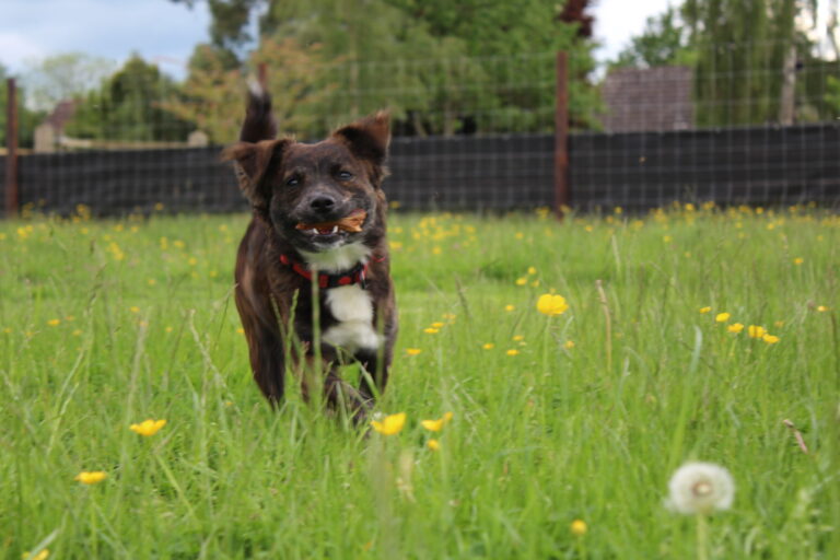 1893 9cd959918884e9ae96bfc343de35306b 1 scaled 768x512