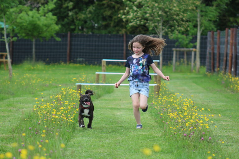 1893 b0caf13eec77f6ab674aac7cd28655ed 1 768x512