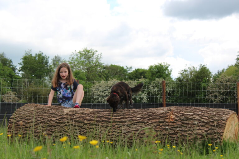 1893 c9240c41b95c45d49657f7c4820bf8c7 1 768x512