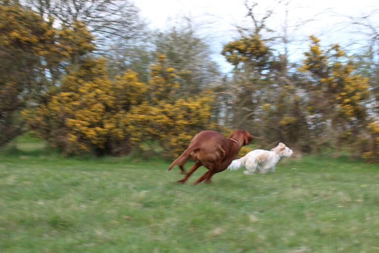 1893 e75996b445e7695d762320bba746a565 1 768x512