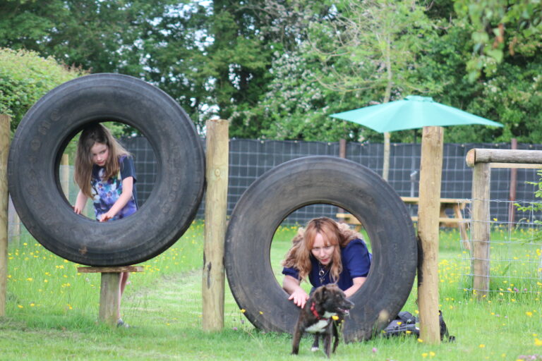 1893 efbce984b90f7136e0d9d8a3b404a0f1 1 768x512