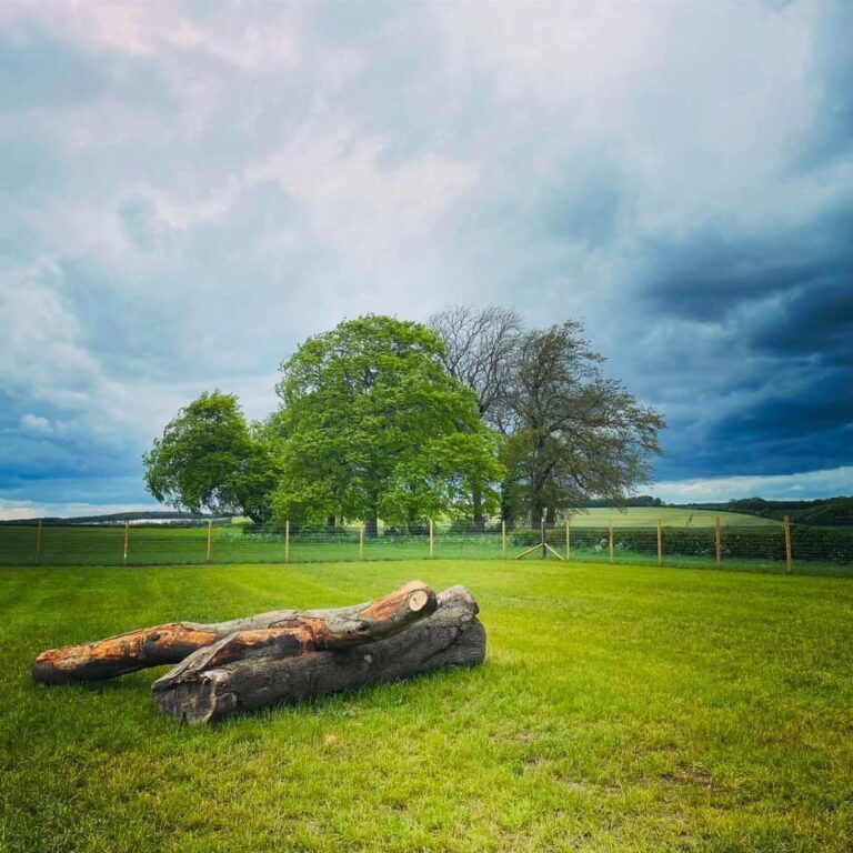 1894 270f3eb13653df18fe6f8fd100c0684d 1 768x768