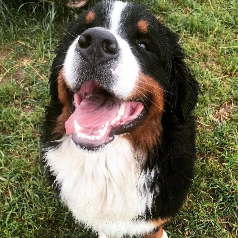 1894 339020b709c1dc454c6a4c50318f9f34 1 768x769