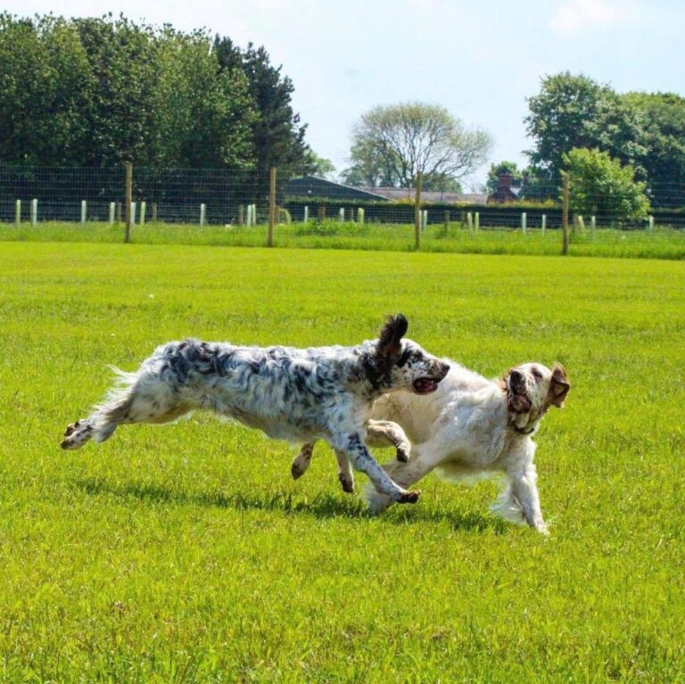 1894 3677aa9e9ea15deb2a60f7814b59773f 1 768x767