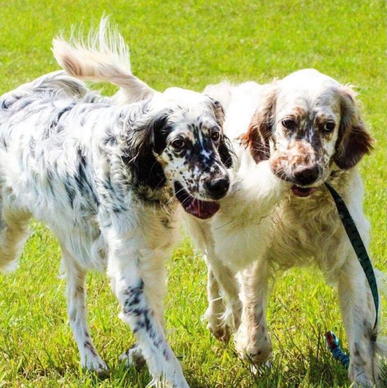 1894 bc291c6d27a719df830021330c174169 1 768x769