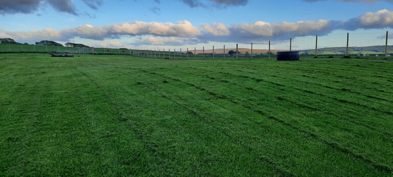 1897 2f9686d255dce8da25813b51c4febeed 1 768x346