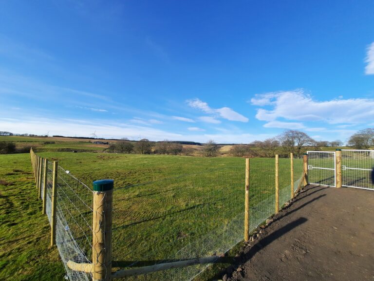 1897 5b95fadc917e72a431268222e28ea9c7 1 768x576