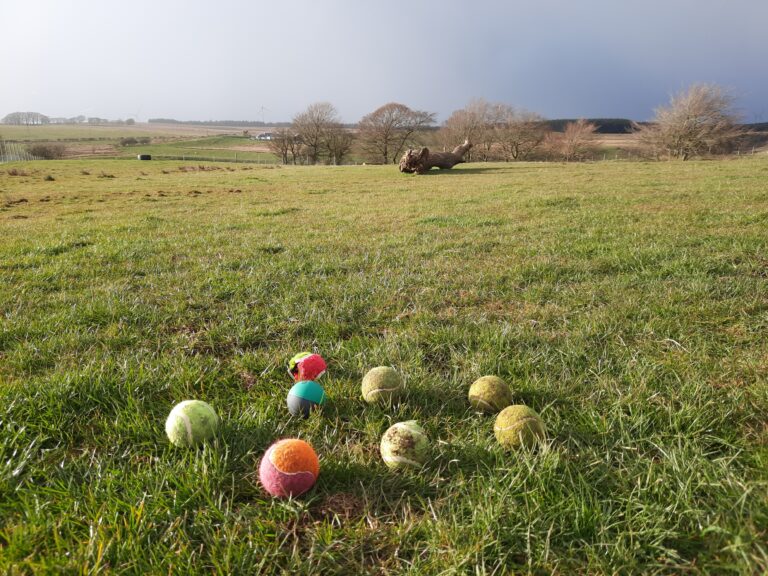 1897 5c761fa7905f80c8afd4311af8703774 1 768x576