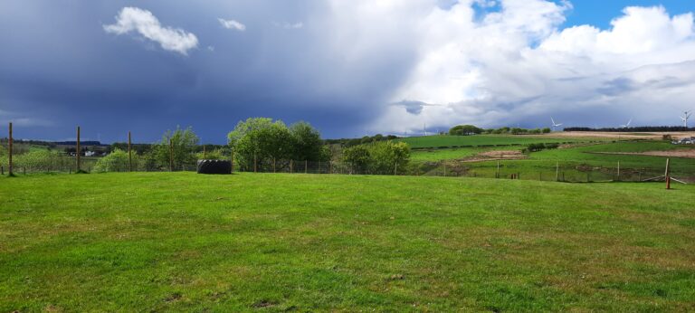 1897 b7618a5f6877ecb64c1df47bf10a21cd 1 768x346