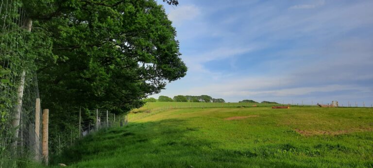 1897 f343fd8714fcf4e9238fd2eb410f88f8 1 scaled 768x346