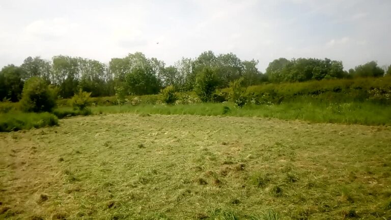 1900 0c3cd5bcff7f1409ff4c4822a4ba39b5 1 768x432