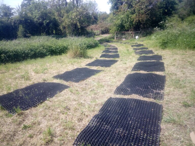 1900 5bfe6719889fbc710bf495cba0add55c 1 768x576