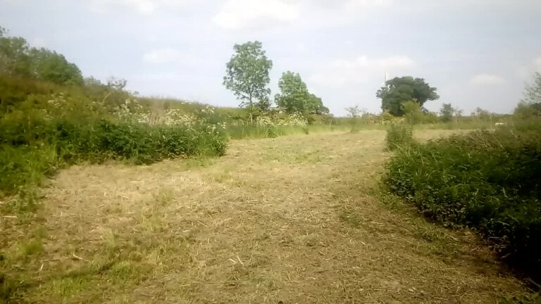 1900 9ae3ec49aa8d2635ae699e6feaae5b81 1 768x432