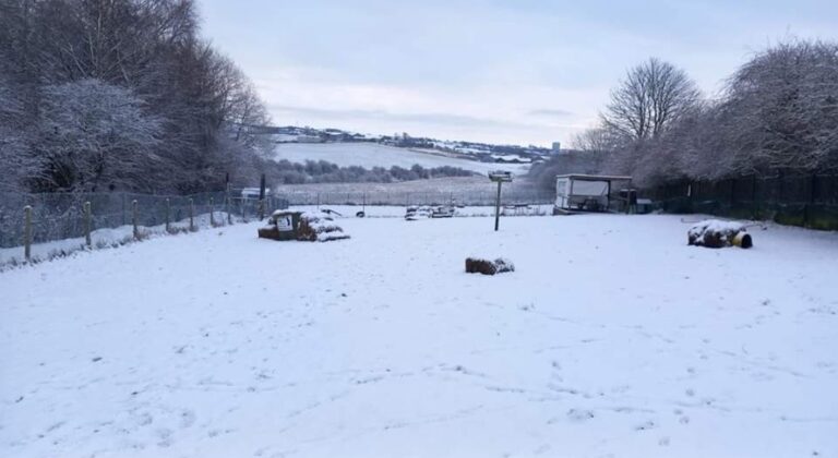 1901 0c26331cc76de60d3aa50d14814b3263 1 768x420