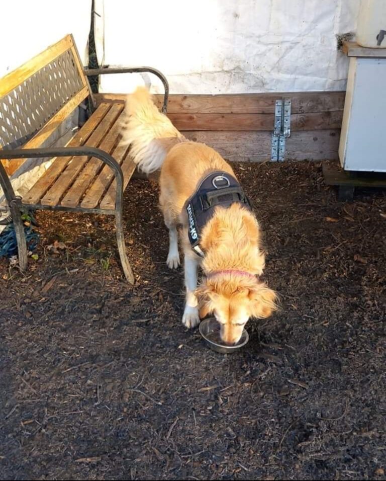 1901 161816ce35becbb961a05bc515c75483 1 768x956