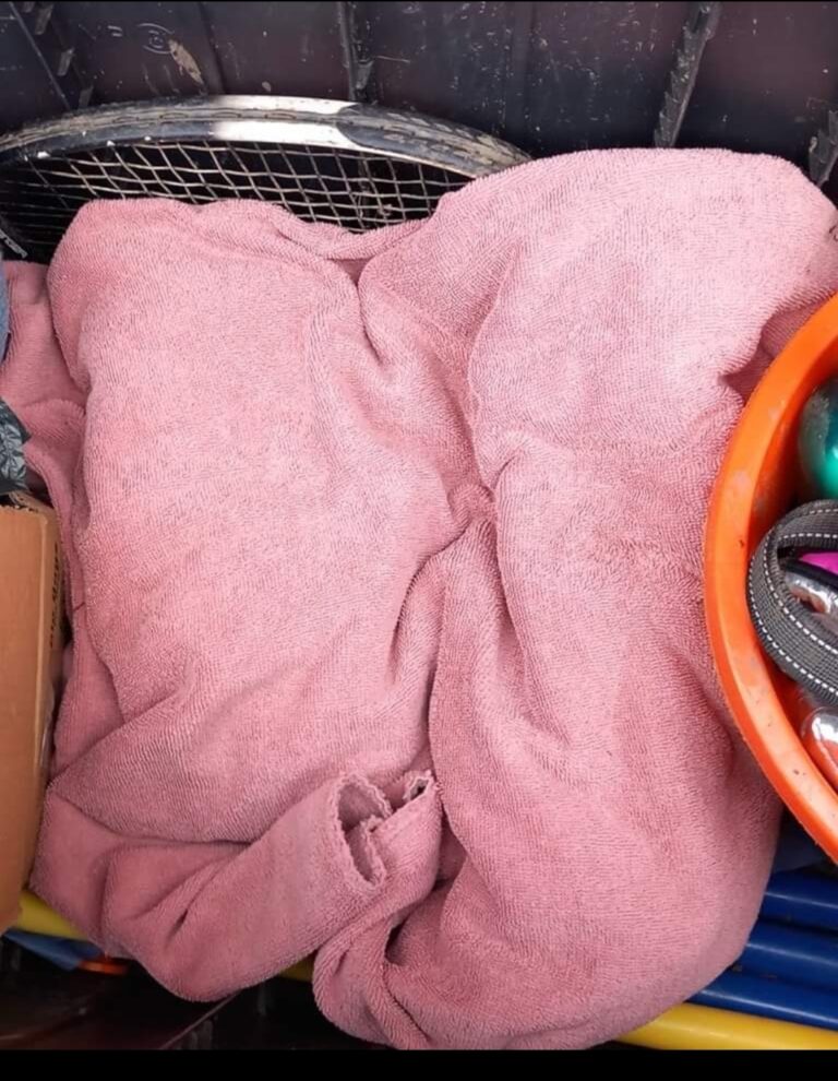 1901 2b0eaa9c475f357d769efa3e1dd5585d 1 768x990