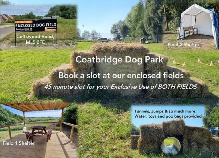 1901 3d8e5a236d2ea6fbb84a3017ecf3ef5f 1 768x554