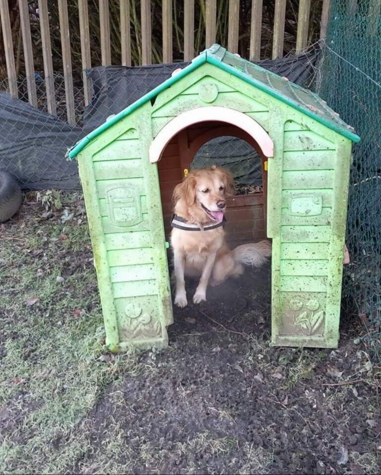 1901 443a9d7435037bdbe635224e25b9340a 1 768x957