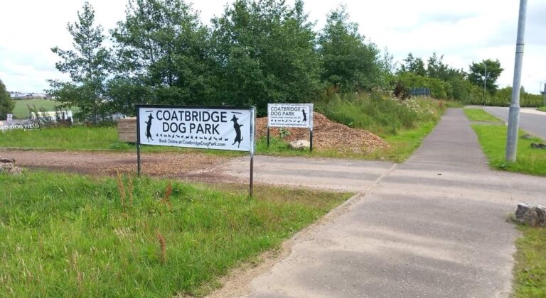 1901 4b385066ce0baa4d2fdd5279c4709975 1 768x420