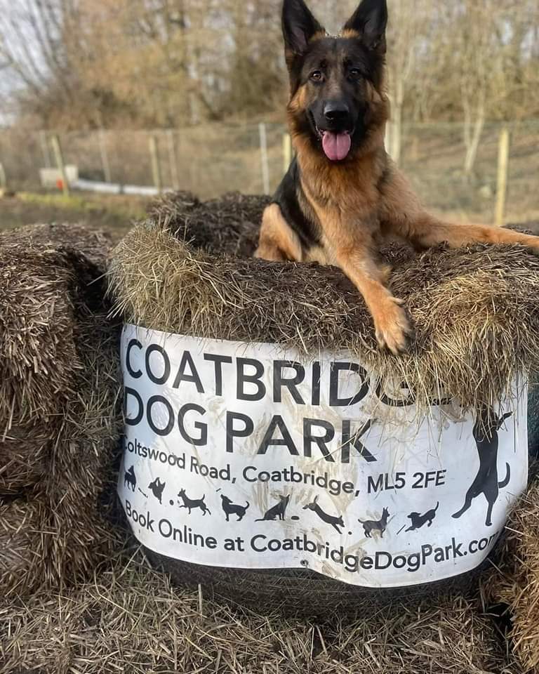 1901 702d014fb9c207beb77b3cb617814d36 1