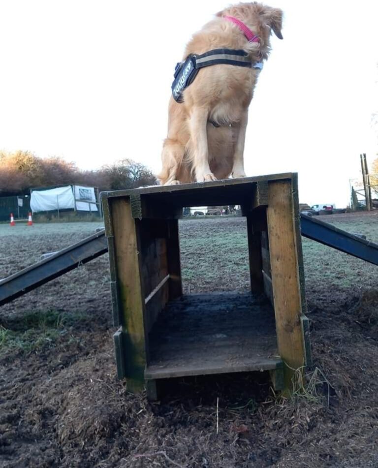 1901 9c8b2f19aa1d30b1382297fb13be0900 1 768x951