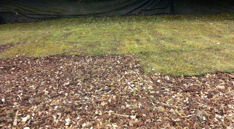 1901 a0fe34cbc010a5c1df5508ad02005ae0 1 768x425