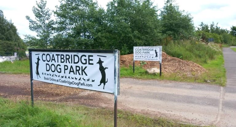 1901 a93512622ee7421e11aae2bc8c72a2b9 1 768x415