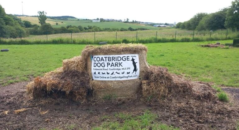 1901 f1ec59b8fcbb0f485a21883e51aad665 1 768x419