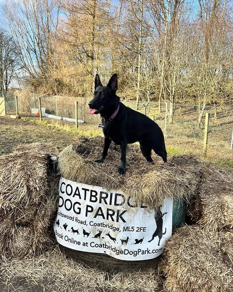 1901 f3c37f5479e3987d7d01062cdc0e2a7e 1