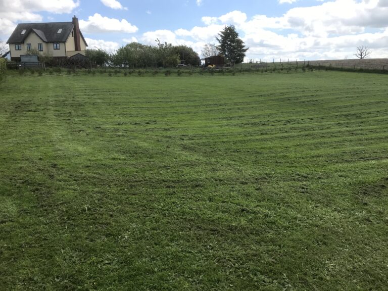 1903 1e6b6eb3cd643bf515f0745224acb590 1 768x576