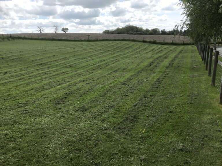 1903 90eca18ebee871f583e77b85e872c119 1 768x576