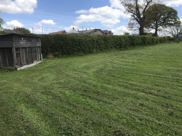 1903 b006b1455158dd6589cbbb0b8789f81b 1 scaled 768x576