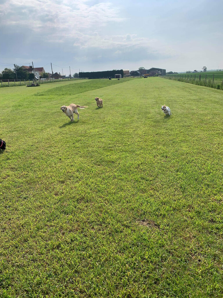 1905 04c32ee8367100a74cf0d1aa9d28c8ab 1 768x1024