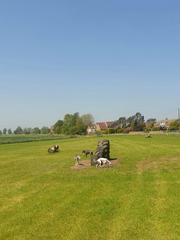 1905 0780ceb15238926fce8b2fd35e4f3a84 1 768x1024